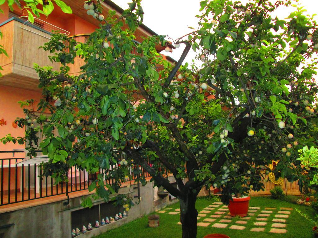 B&B Le Begonie Ascoli Piceno Kültér fotó