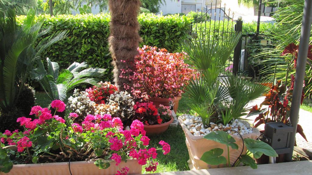 B&B Le Begonie Ascoli Piceno Kültér fotó